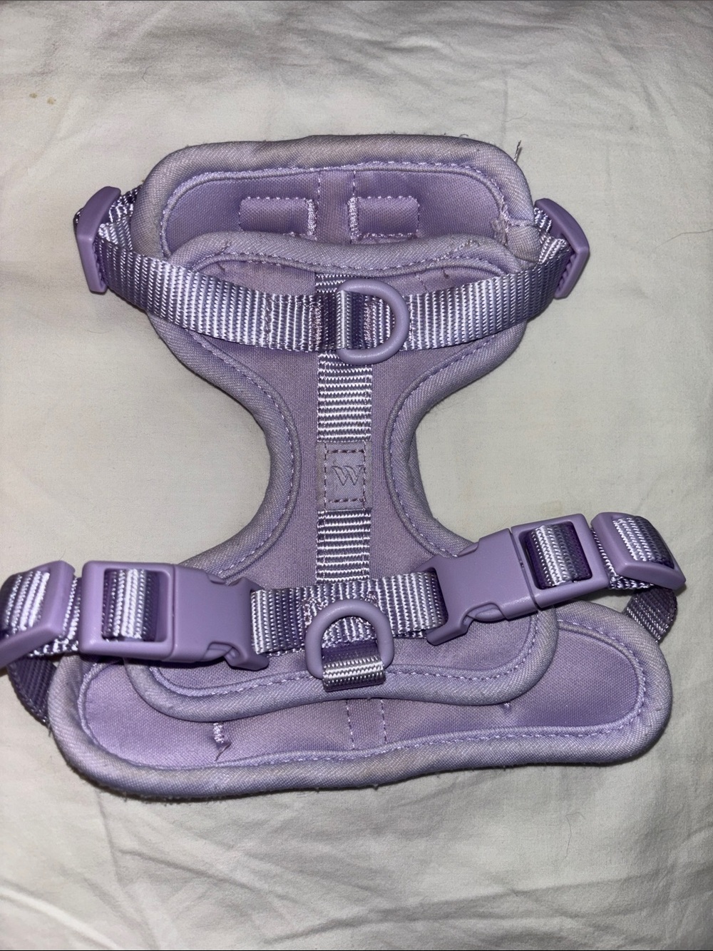 Wild One Lilac Dog Harness